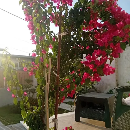 Апартаменты Shoraj Rent House